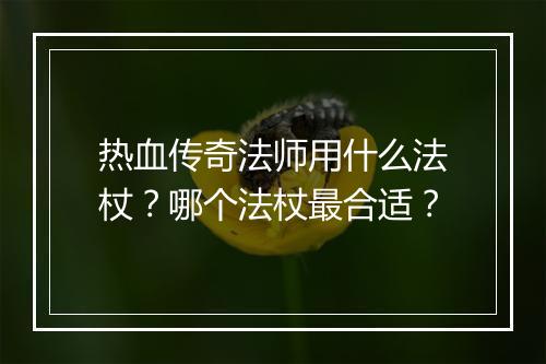 热血传奇法师用什么法杖？哪个法杖最合适？