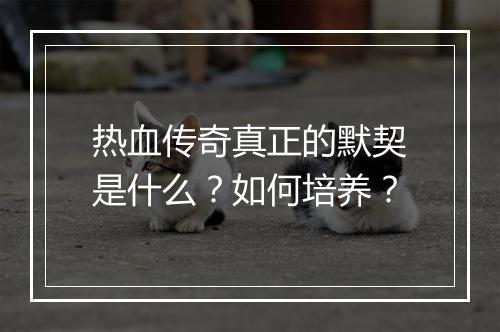 热血传奇真正的默契是什么？如何培养？