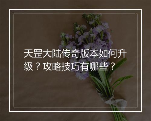 天罡大陆传奇版本如何升级？攻略技巧有哪些？