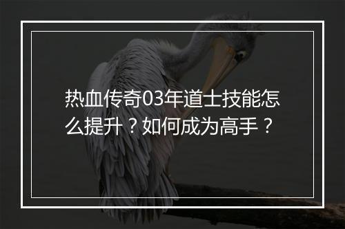 热血传奇03年道士技能怎么提升？如何成为高手？