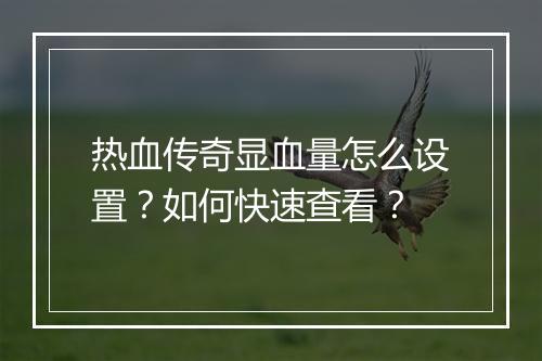 热血传奇显血量怎么设置？如何快速查看？