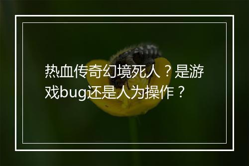 热血传奇幻境死人？是游戏bug还是人为操作？