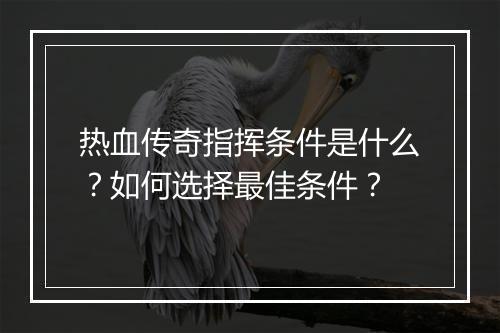 热血传奇指挥条件是什么？如何选择最佳条件？