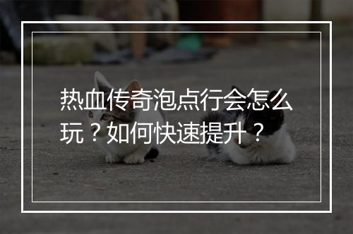 热血传奇泡点行会怎么玩？如何快速提升？