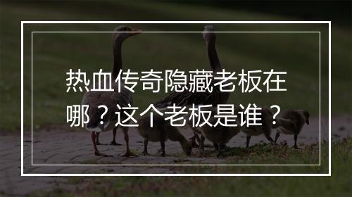 热血传奇隐藏老板在哪？这个老板是谁？