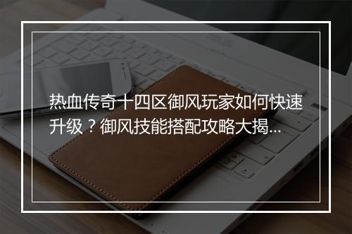 热血传奇十四区御风玩家如何快速升级？御风技能搭配攻略大揭秘