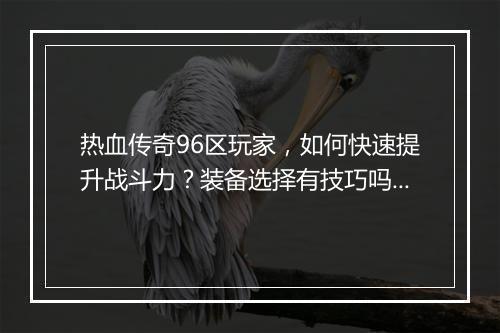 热血传奇96区玩家，如何快速提升战斗力？装备选择有技巧吗？