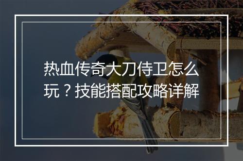 热血传奇大刀侍卫怎么玩？技能搭配攻略详解