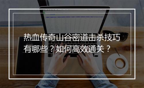 热血传奇山谷密道击杀技巧有哪些？如何高效通关？