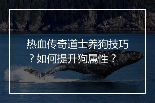 热血传奇道士养狗技巧？如何提升狗属性？