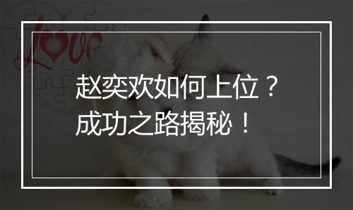 赵奕欢如何上位？成功之路揭秘！