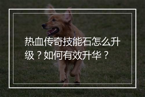 热血传奇技能石怎么升级？如何有效升华？