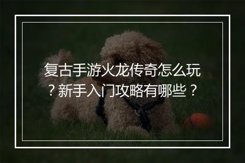 复古手游火龙传奇怎么玩？新手入门攻略有哪些？