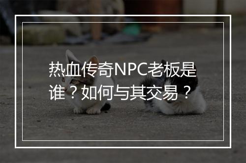 热血传奇NPC老板是谁？如何与其交易？