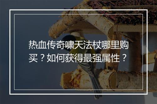 热血传奇啸天法杖哪里购买？如何获得最强属性？