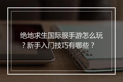绝地求生国际服手游怎么玩？新手入门技巧有哪些？