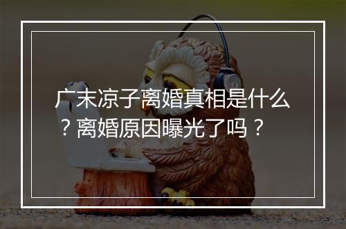 广末凉子离婚真相是什么？离婚原因曝光了吗？