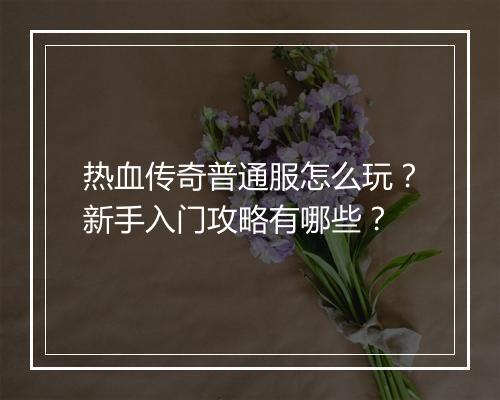 热血传奇普通服怎么玩？新手入门攻略有哪些？
