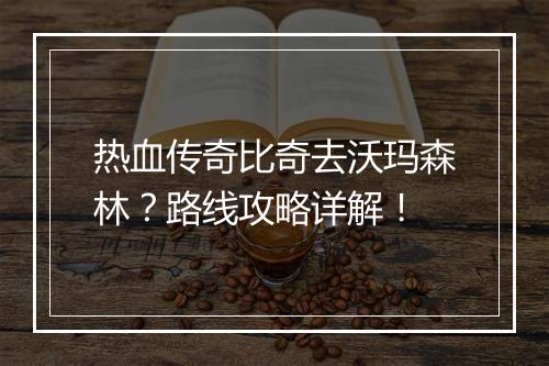 热血传奇比奇去沃玛森林？路线攻略详解！
