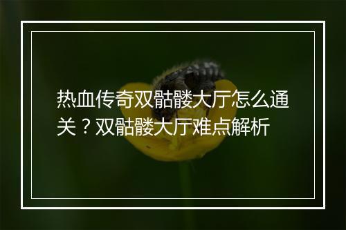 热血传奇双骷髅大厅怎么通关？双骷髅大厅难点解析