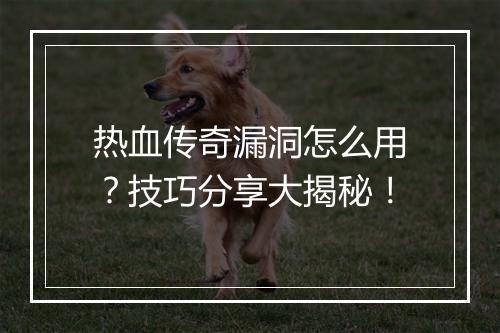 热血传奇漏洞怎么用？技巧分享大揭秘！