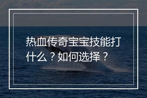 热血传奇宝宝技能打什么？如何选择？