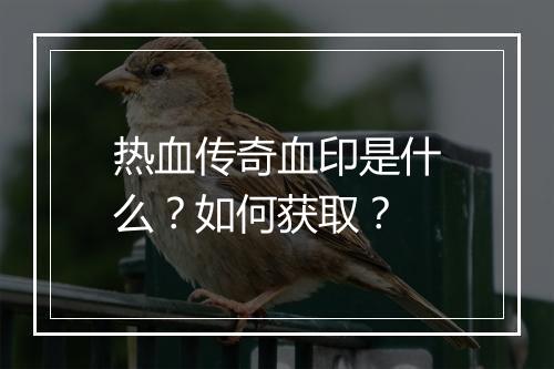 热血传奇血印是什么？如何获取？