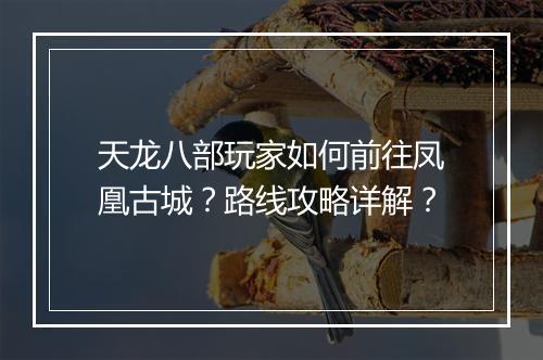 天龙八部玩家如何前往凤凰古城？路线攻略详解？