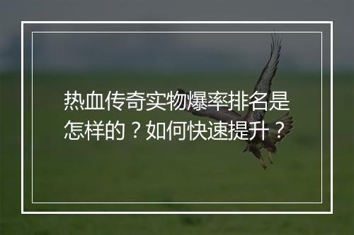 热血传奇实物爆率排名是怎样的？如何快速提升？