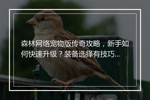 森林网络宠物版传奇攻略，新手如何快速升级？装备选择有技巧吗？