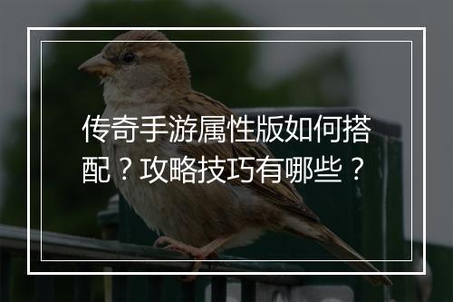 传奇手游属性版如何搭配？攻略技巧有哪些？