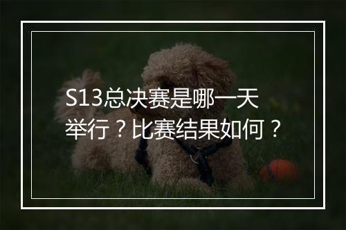 S13总决赛是哪一天举行？比赛结果如何？