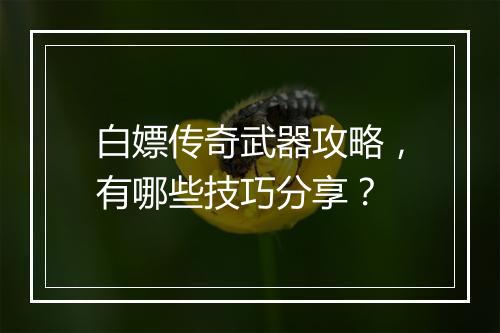白嫖传奇武器攻略，有哪些技巧分享？