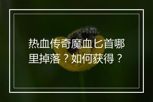 热血传奇魔血匕首哪里掉落？如何获得？