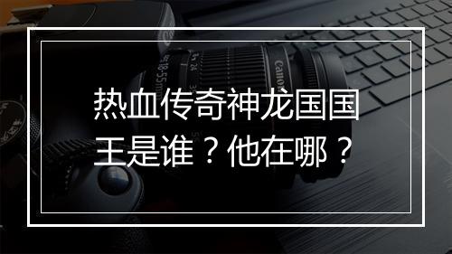 热血传奇神龙国国王是谁？他在哪？