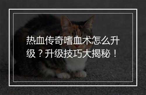 热血传奇嗜血术怎么升级？升级技巧大揭秘！