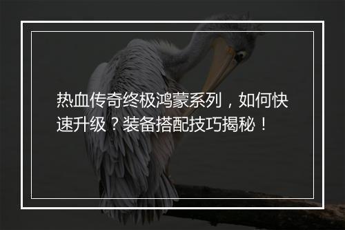 热血传奇终极鸿蒙系列，如何快速升级？装备搭配技巧揭秘！