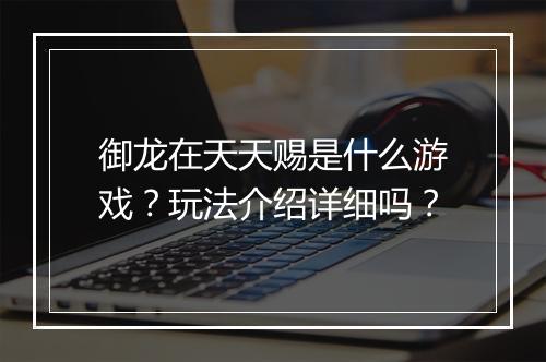 御龙在天天赐是什么游戏？玩法介绍详细吗？