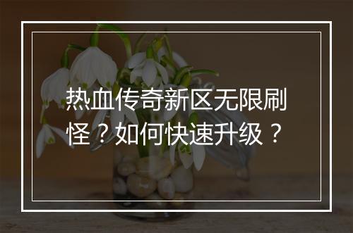 热血传奇新区无限刷怪？如何快速升级？