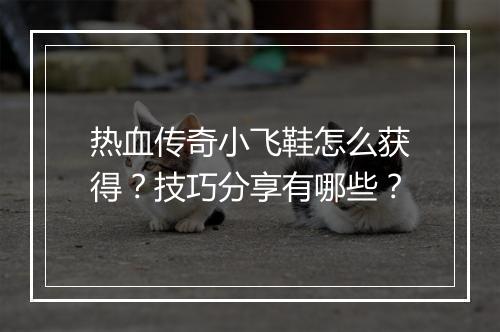 热血传奇小飞鞋怎么获得？技巧分享有哪些？