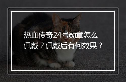 热血传奇24号勋章怎么佩戴？佩戴后有何效果？