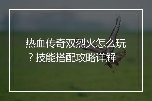 热血传奇双烈火怎么玩？技能搭配攻略详解