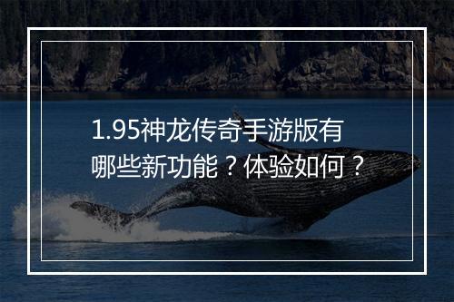 1.95神龙传奇手游版有哪些新功能？体验如何？