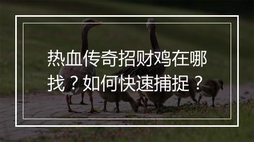 热血传奇招财鸡在哪找？如何快速捕捉？