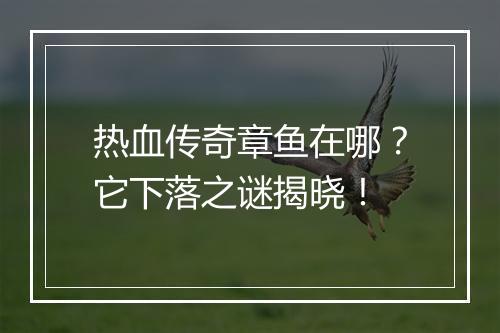 热血传奇章鱼在哪？它下落之谜揭晓！