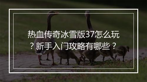热血传奇冰雪版37怎么玩？新手入门攻略有哪些？