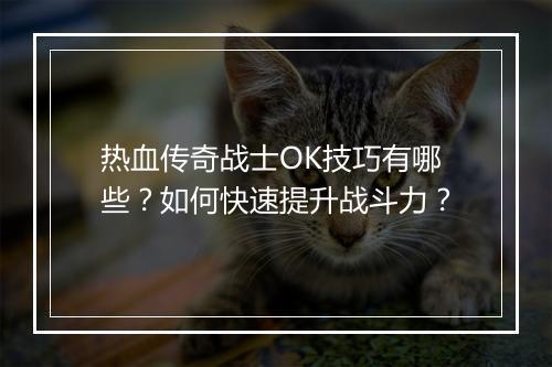 热血传奇战士OK技巧有哪些？如何快速提升战斗力？