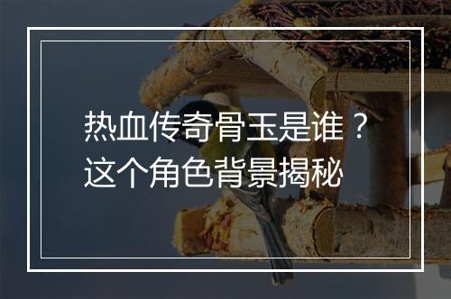 热血传奇骨玉是谁？这个角色背景揭秘