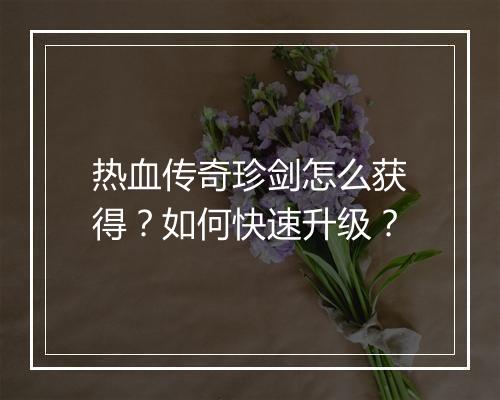 热血传奇珍剑怎么获得？如何快速升级？
