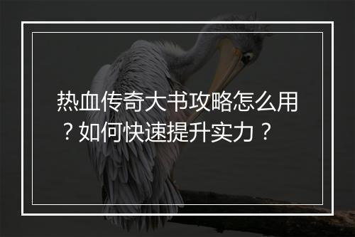 热血传奇大书攻略怎么用？如何快速提升实力？